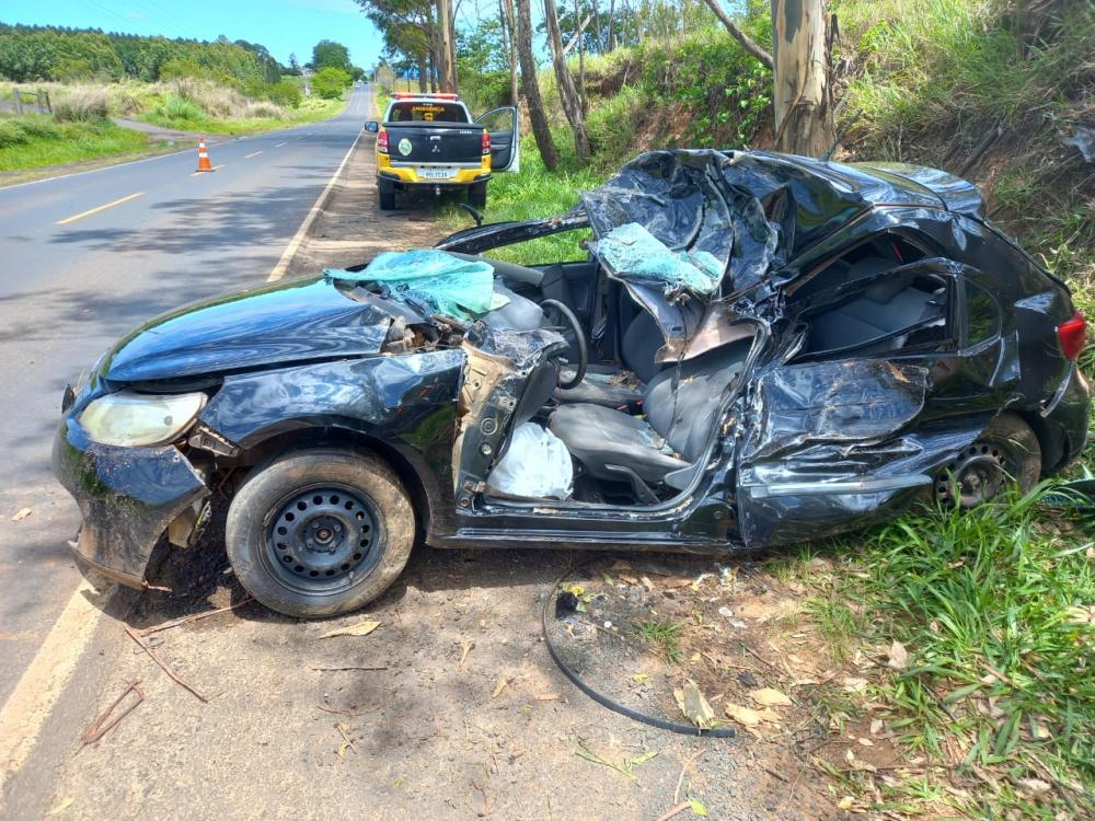 Jovem de 18 anos morre ao colidir com árvore próximo a Joaquim Távora