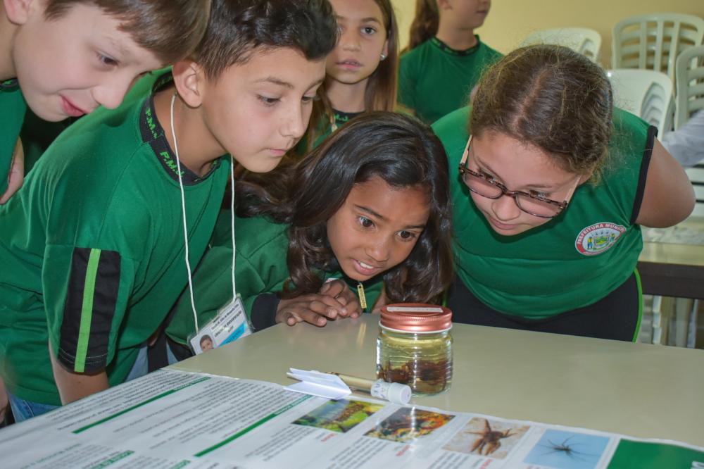 Jaguariaíva promove ações de conscientização sobre a dengue com alunos da rede municipal