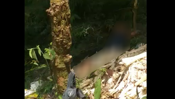 Jovem é morto com facada e corpo “desovado” no mato em Jaguariaíva