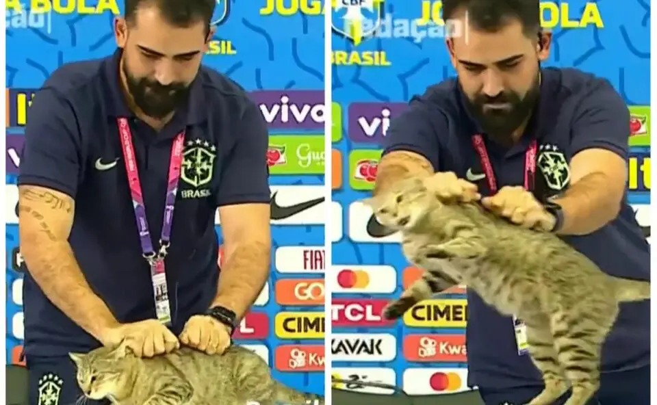 CBF é acionada na Justiça por maus-tratos a gato durante coletiva de imprensa no Catar