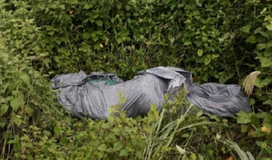 Cadáver é encontrado dentro de saco de lixo no Norte Pioneiro