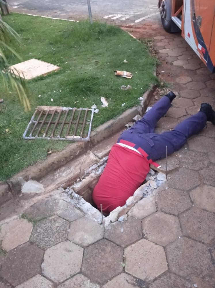 Agentes da Defesa Civil salvam cachorro que caiu em bueiro em Siqueira Campos