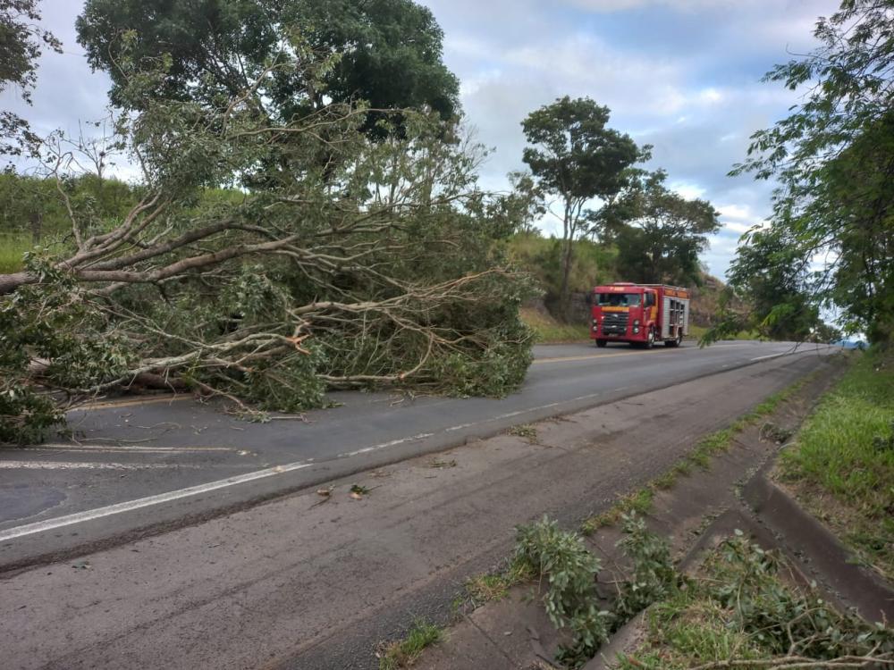 Polícia Rodoviária registra atos de vandalismo para bloquear trânsito na PR-092