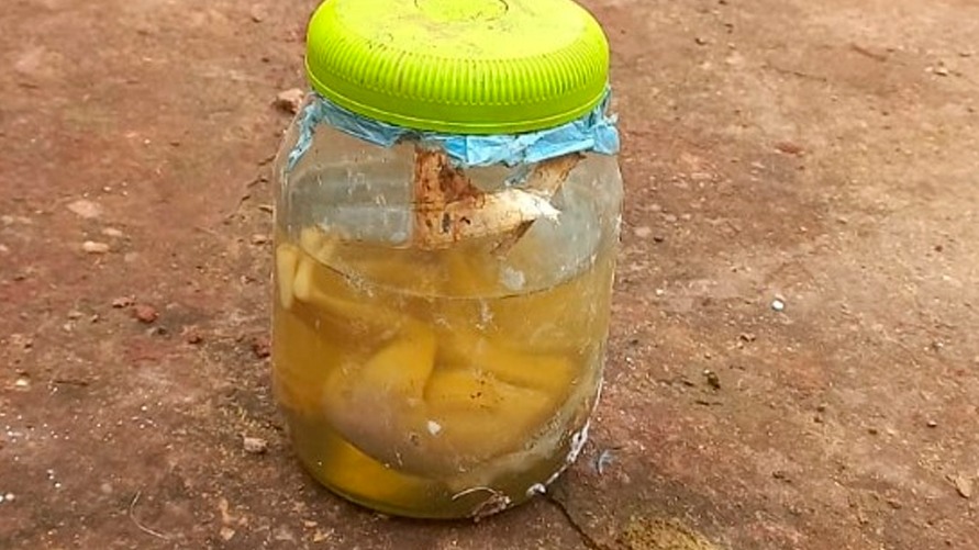 Feto humano é encontrado no lixo no Norte Pioneiro