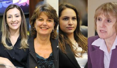 Mulheres são eleitas para apenas 4 cadeiras estaduais e federais