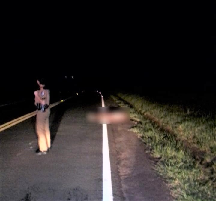 Mais uma pessoa morre atropelada na PR-435