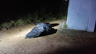 Homem é encontrado morto em Arapoti