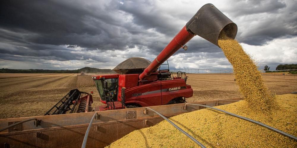 Com tempo instável, colheita da soja chega a 15% da área plantada no Norte Pioneiro