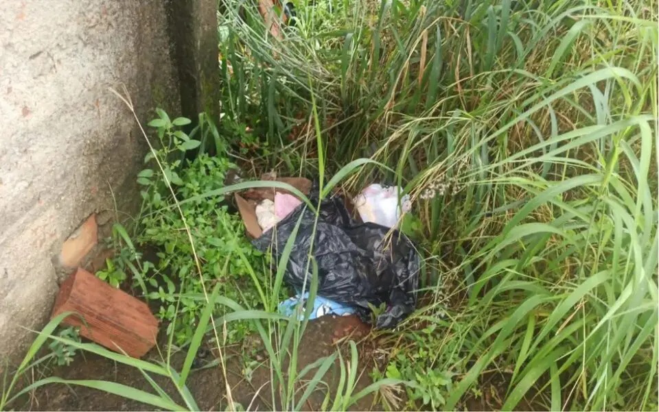 Rescém-nascida é encontrada morta em caixa de papelão jogada no mato