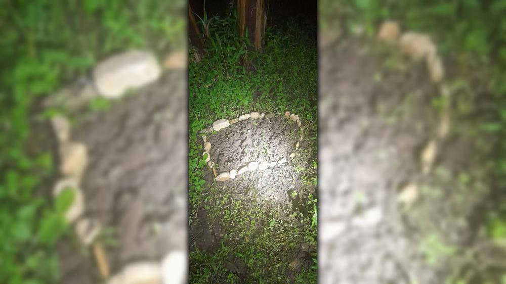 Feto humano é encontrado enterrado no quintal de residência do Paraná