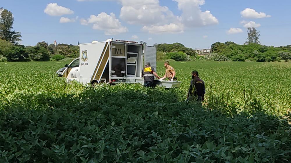Corpo só de camiseta e cueca é encontrado em plantação no Norte Pioneiro