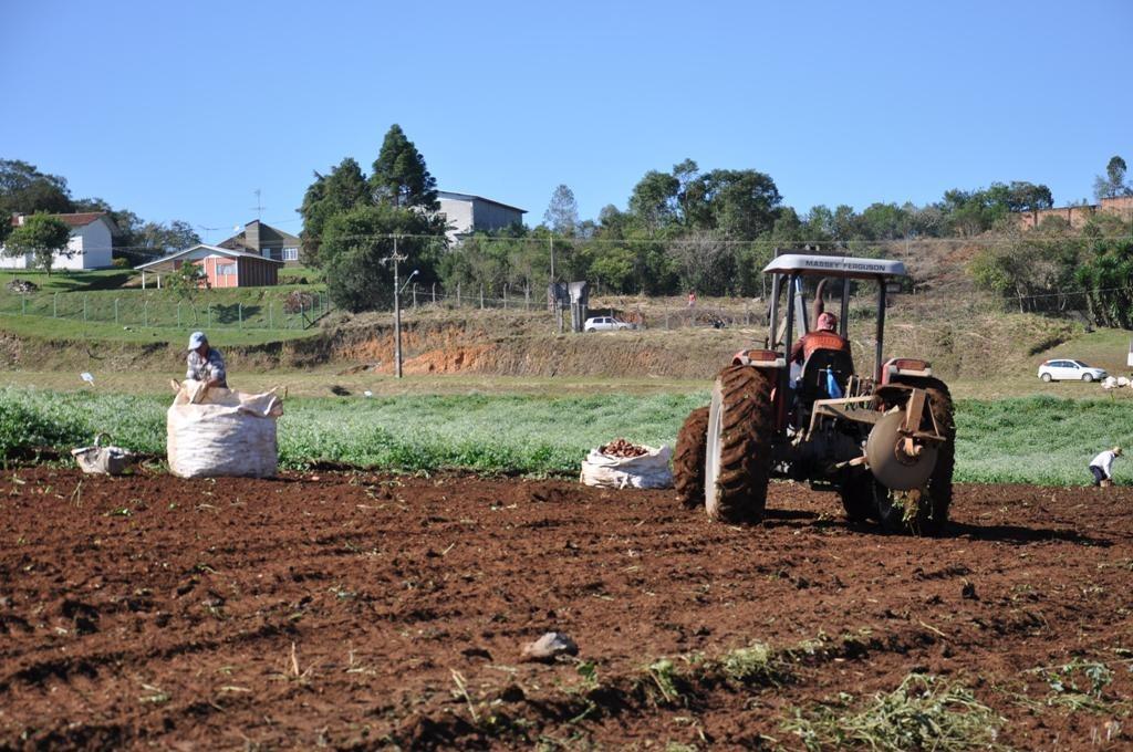 Prazo para declaração do Imposto Territorial Rural termina na sexta-feira