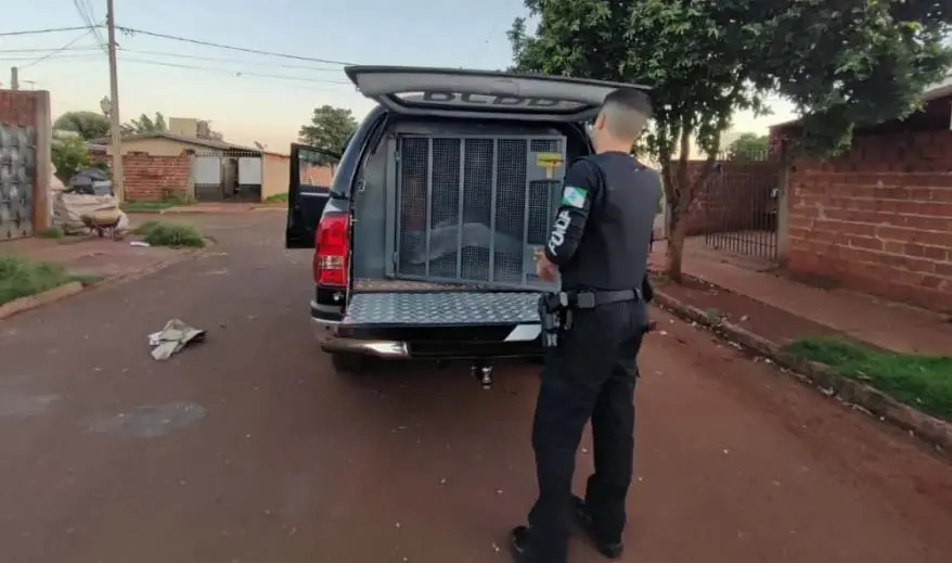 Suspeito de estuprar e engravidar a sobrinha deficiente é preso no Paraná