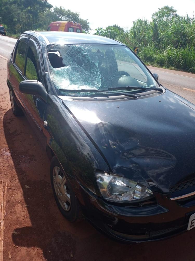 Homem sai do mato correndo, atravessa rodovia e morre atropelado