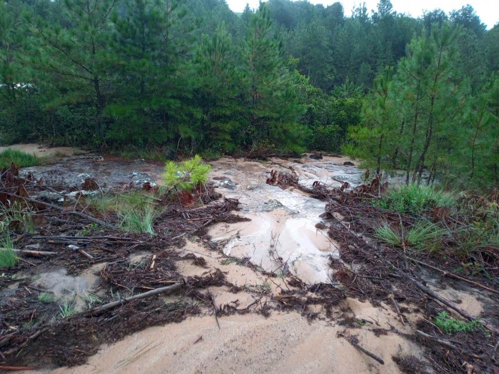 Desmatamento ilegal prejudicou o abastecimento de água em Jaguariaíva