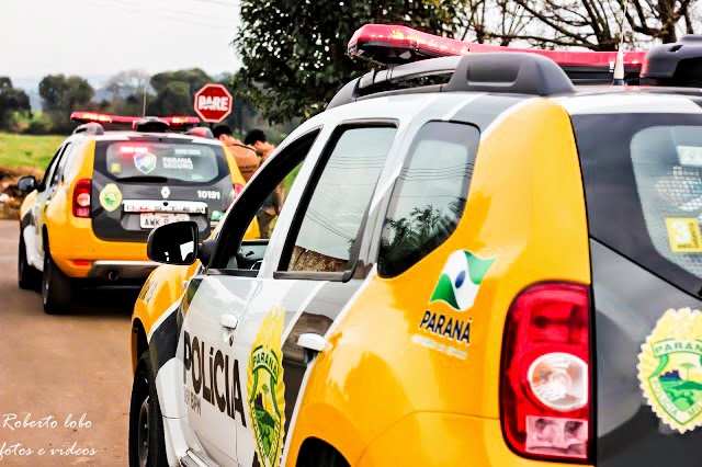 Criminosos armados amarram família e matam cachorro em assalto a chácara na região