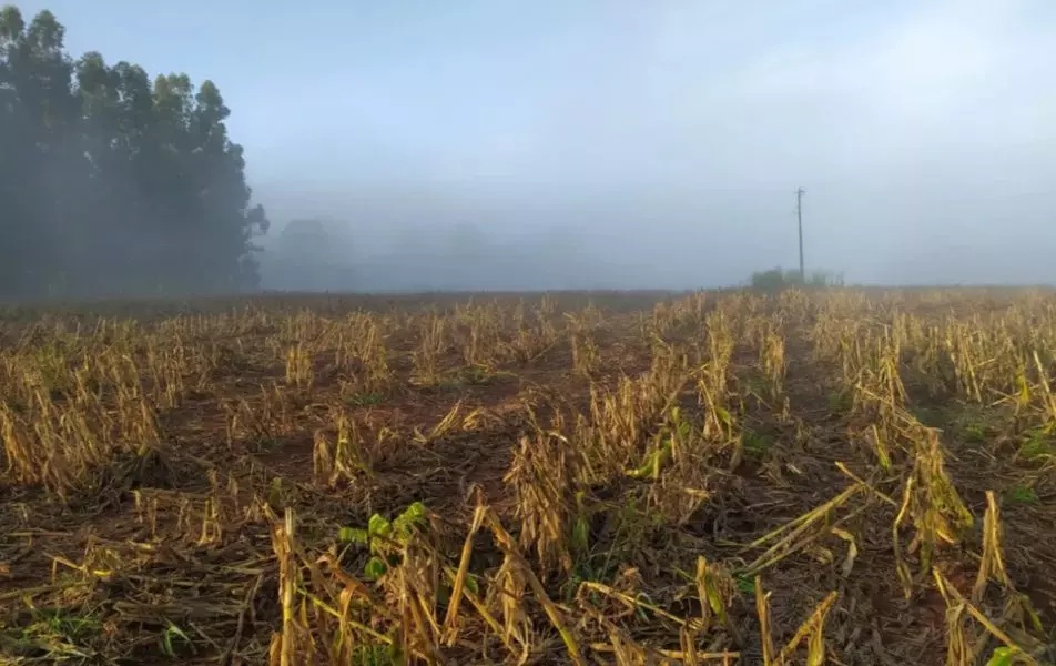 Menina sai da escola e é estuprada por menores de 12, 13 e 14 anos