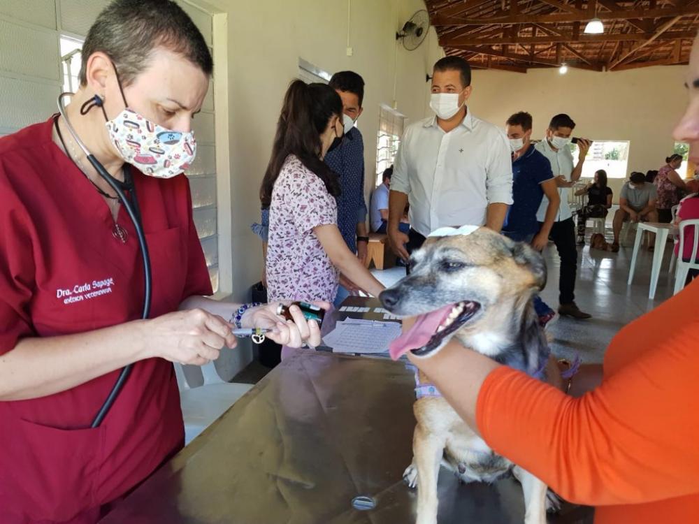 CastraPet volta aos municípios do Norte Pioneiro em maio