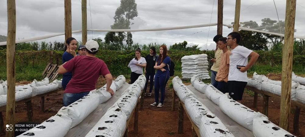 Alunos de escola rural de Wenceslau Braz tem aula prática em estufa de morangos
