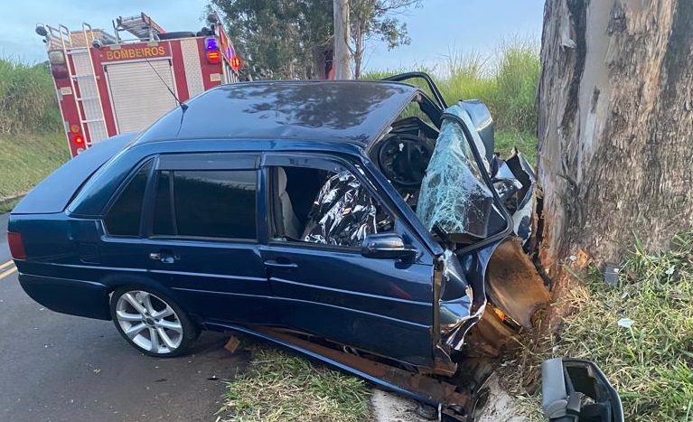 Motorista bate em árvore e morre em rodovia do Norte Pioneiro