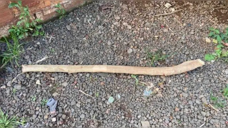 Filho drogado ameaça arrebentar a cabeça da mãe na paulada