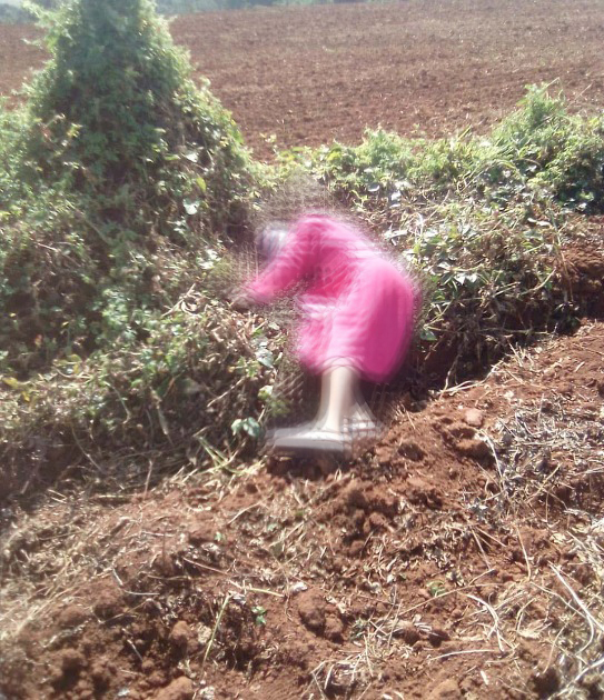 Corpo de mulher morta a tiros é encontrado em Tomazina