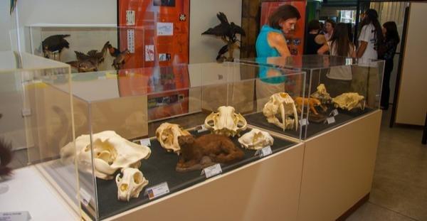 UFPR mantém diversos museus e eles estão abertos para visitação
