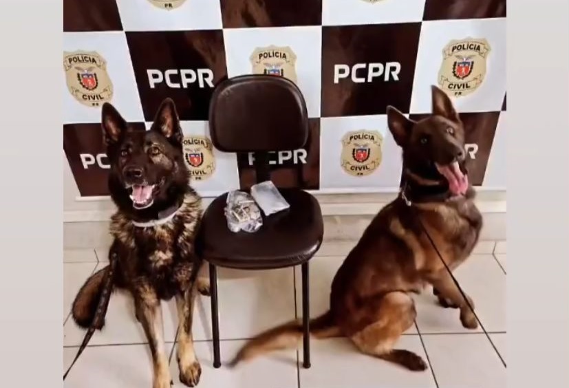 Operação contra o crime organizado prende três em Jaguariaíva