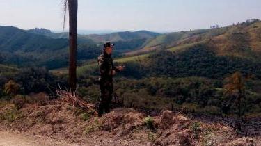 Fiscalização confirma desmate em 121 hectares de Mata Atlântica no Paraná