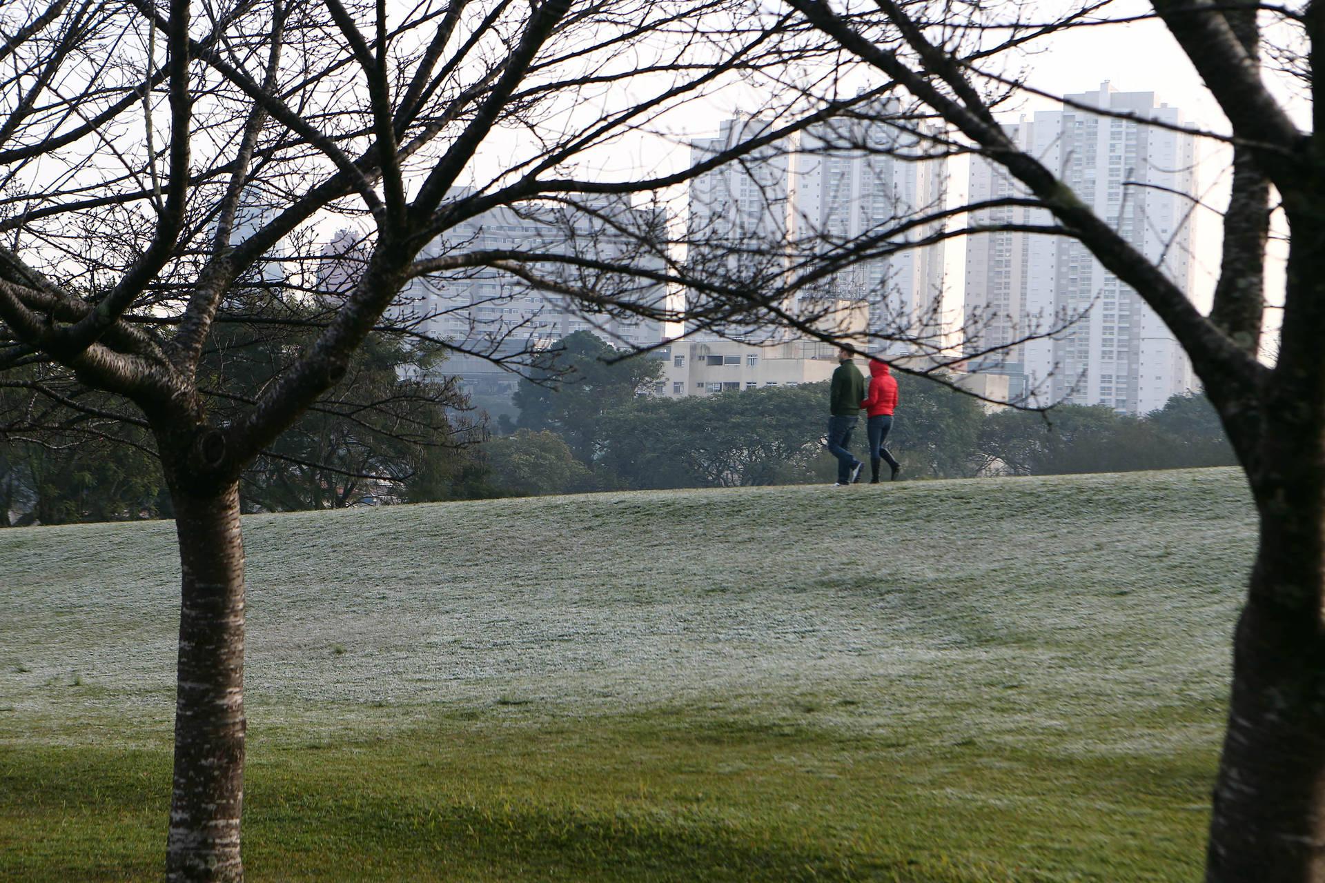 Inverno será ameno e um pouco mais chuvoso, prevê Simepar