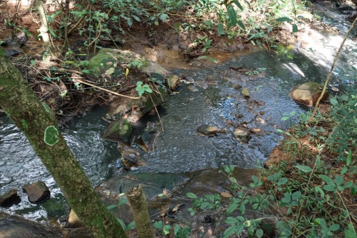 Instituto Água e Terra fiscaliza lançamento de dejetos da suinocultura