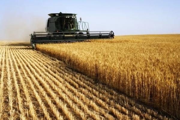 Estiagem e geada reduziram em 15% produção de grãos no Paraná