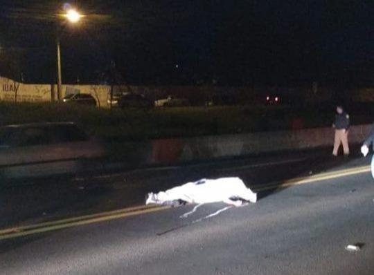 Homem morre atropelado na BR-153