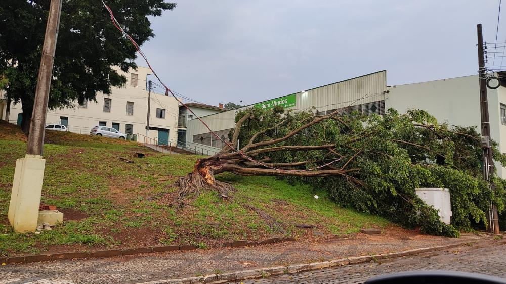 Chuvas e ventos fortes causam destruição e prejuízos em vários municípios da região