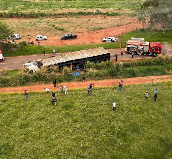 Motorista morre esmagado por caminhão carregado com bois no Paraná