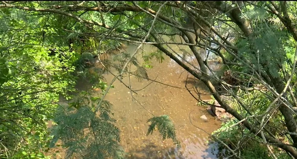 Criança é estuprada e consegue fugir antes de ser morta pelo agressor