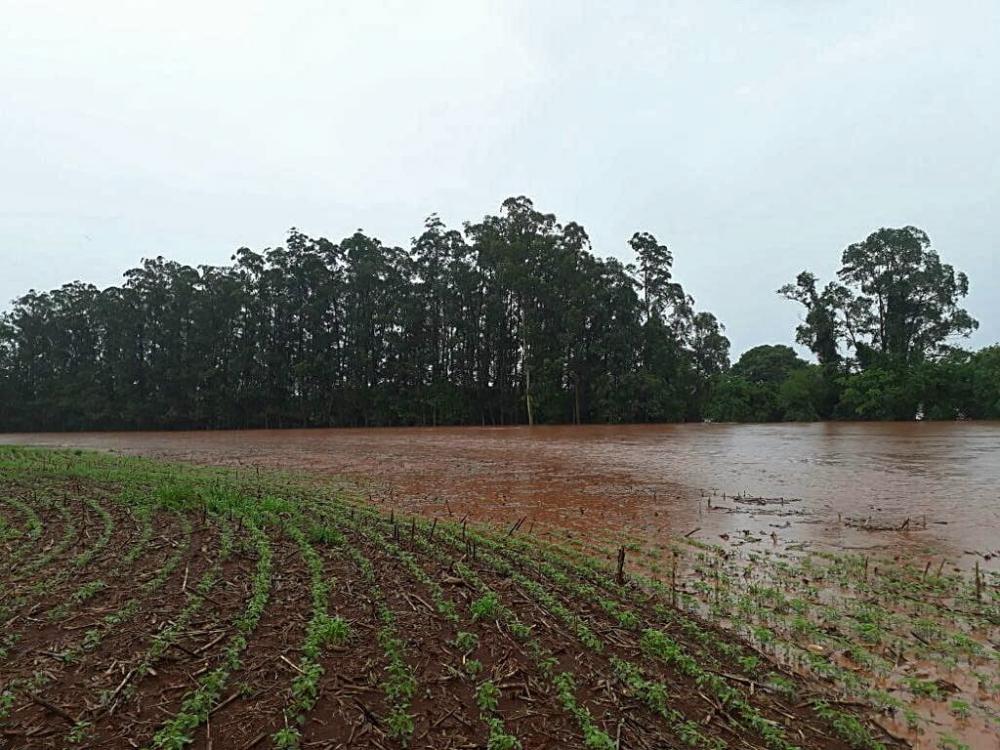 Excesso de chuvas pode prejudicar lavouras e alterar preços dos alimentos