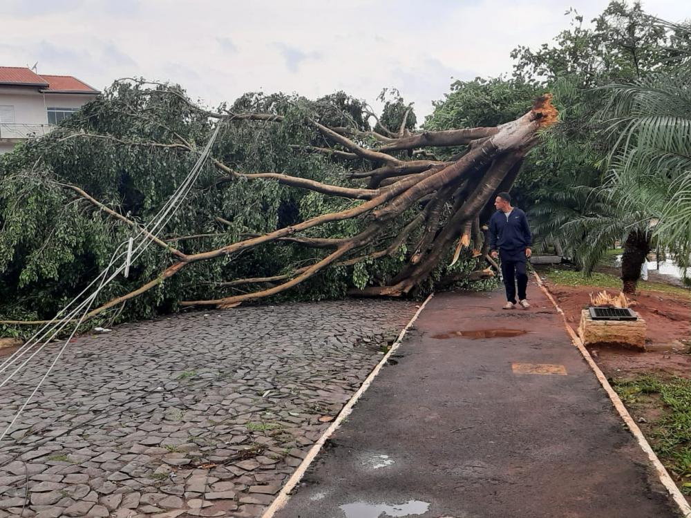 Temporal em Wenceslau Braz derruba árvores e deixa a cidade às escuras por duas horas