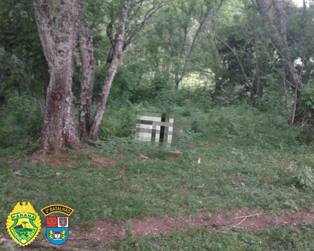 Corpo de adolescente que estava desaparecido e encontrado em mata fechada