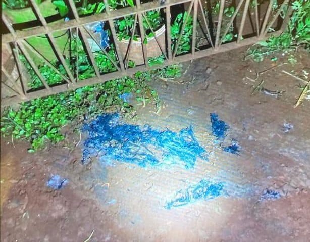 Polícia procura suspeito que colocou fogo em homem no Norte Pioneiro