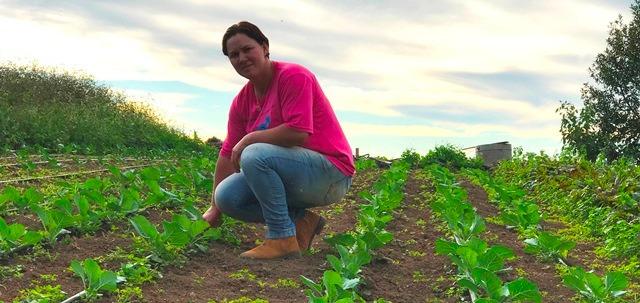 Fornecimento para o Feira Verde incentiva produtores a ampliarem seus cultivos