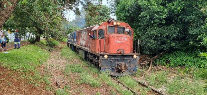 Deputados cobram explicações sobre paralisação de ramal de trens no Norte Pioneiro