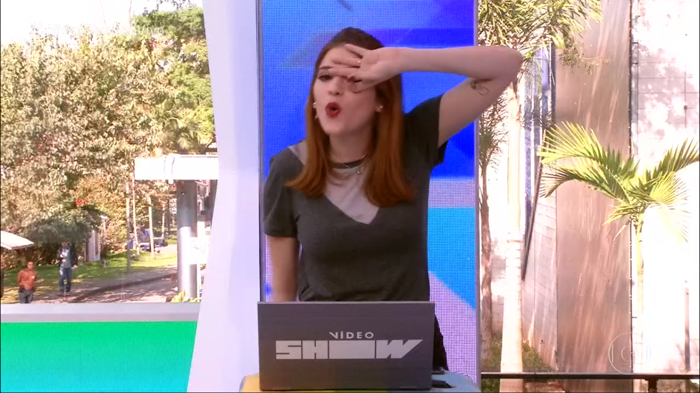 Incêndio e ataque de abelhas no Vídeo Show foram armados pela Globo