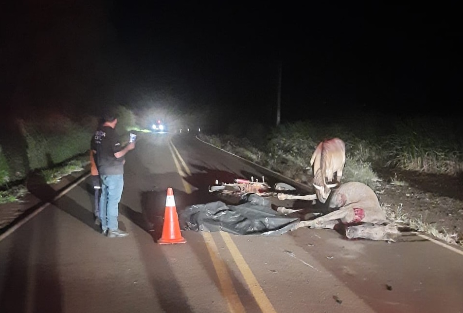 Moto bate em cavalo e adolescente morre na hora