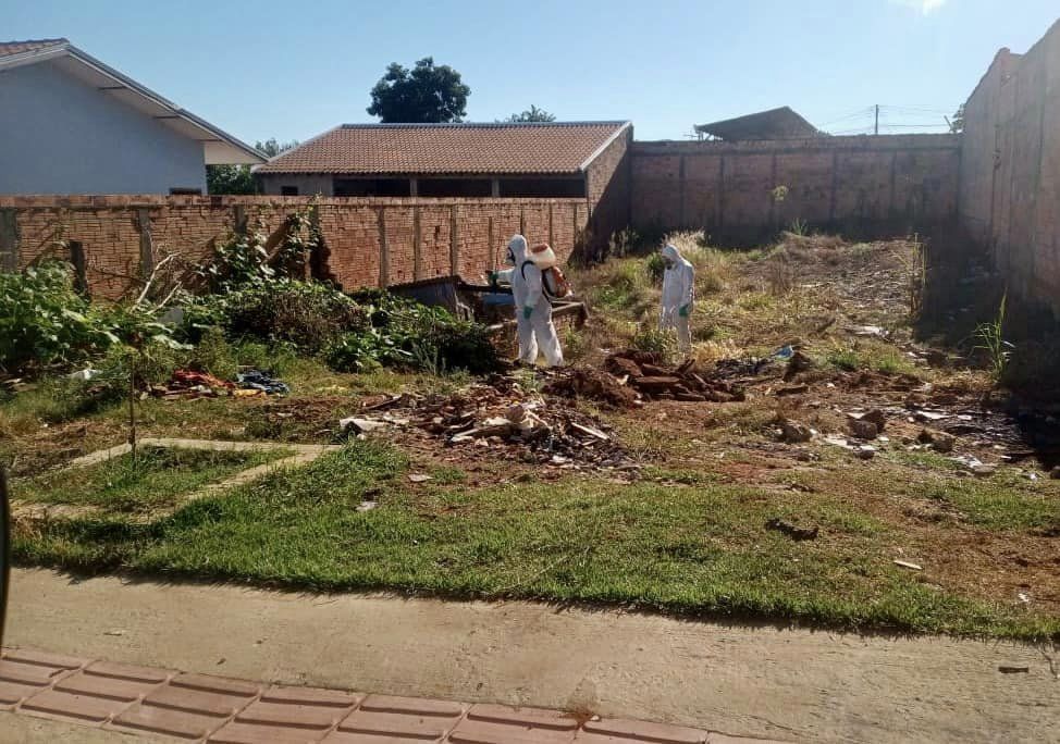 Bairros de Jaguariaíva recebem aplicação de inseticida contra o mosquito da Dengue