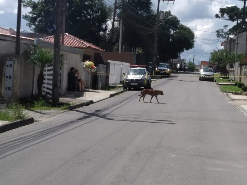 Homem sob efeito de drogas mata a própria mãe a pauladas