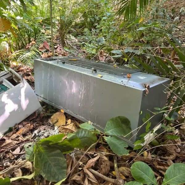 Adolescente mata a mãe com ajuda do namorado e esconde corpo em geladeira