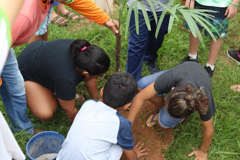 Alunos da Rede Municipal participam de plantio de árvores em Santana do Itararé