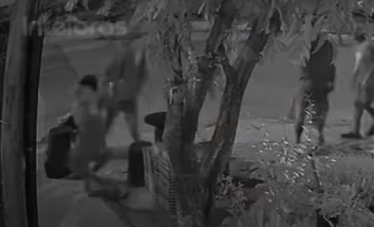 Câmera flagra usuária de crack esfaqueando a própria mãe no Norte Pioneiro