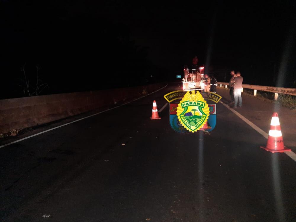 Boi invade rodovia, causa acidente e morre atropelado na PR-092